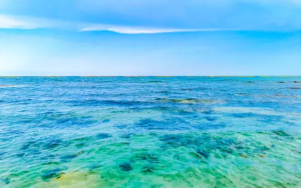 Playa del Carmen Meksika 'da turkuvaz mavisi berrak sulara sahip tropik Meksika Karayip sahili manzarası..