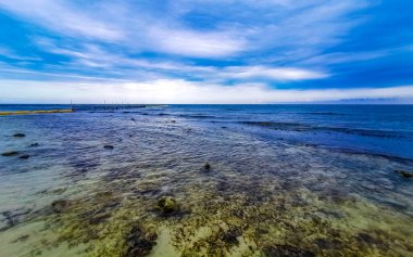 Playa del Carmen Quintana Roo Meksika sahilindeki turkuaz yeşil ve mavi sularda kayalar ve mercanlar..