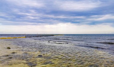 Playa del Carmen Quintana Roo Meksika sahilindeki turkuaz yeşil ve mavi sularda kayalar ve mercanlar..