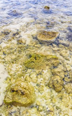 Playa del Carmen Quintana Roo Meksika sahilindeki turkuaz yeşil ve mavi sularda kayalar ve mercanlar..
