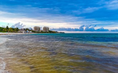 Playa del Carmen Meksika 'da turkuvaz mavisi berrak sulara sahip tropik Meksika Karayip sahili manzarası..