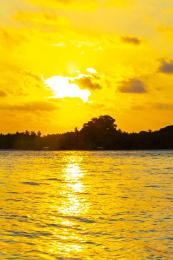 Tropik cennet adası Kuramathi. Palmiye ağaçları, turkuaz sular ve Rasdhoo Atoll Maldivleri 'nde muhteşem altın renkli günbatımı olan lüks bir tatil için..