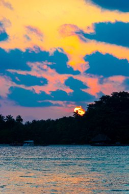 Tropik cennet adası Kuramathi. Palmiye ağaçları, turkuaz sular ve Rasdhoo Atoll Maldivleri 'nde muhteşem altın renkli günbatımı olan lüks bir tatil için..