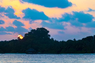 Tropik cennet adası Kuramathi. Palmiye ağaçları, turkuaz sular ve Rasdhoo Atoll Maldivleri 'nde muhteşem altın renkli günbatımı olan lüks bir tatil için..