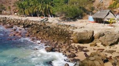 Plaj kumsalı turkuvaz mavi su kayaları kaya kayaları palmiye ağaçları büyük sörfçü dalgaları ve plaj manzarası Playa Manzanillo ve Puerto Angelito Puerto Escondido Oaxaca Meksika.