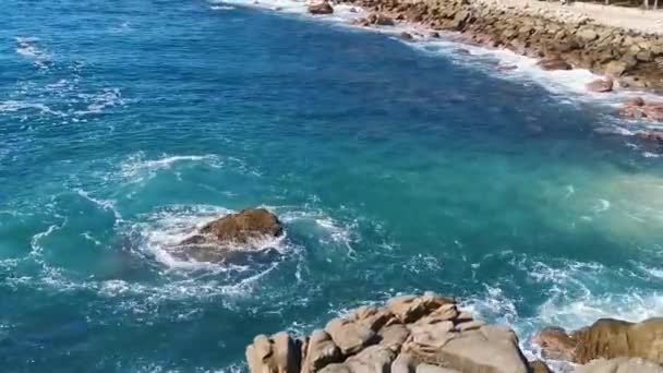 Praia Areia Turquesa Água Azul Rochas Penhascos Pedregulhos Palmeiras Enormes — Vídeo de Stock