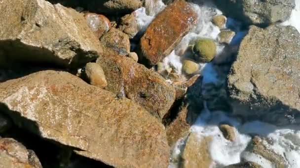 Black Red Crab Crabs Wet Cliffs Stones Rocks Zicatela Puerto — Stok video