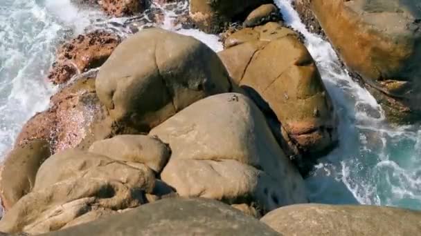 Black Red Crab Crabs Wet Cliffs Stones Rocks Zicatela Puerto — Vídeo de Stock