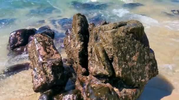 모래사장의 바위들 파도를 일으키는 야자수들 멕시코의 푸에르토 오악사카 해변의 플라야 — 비디오