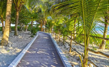 Tahta patika patika yolu ve Karayipler sahilinde çit ve Playa del Carmen Quintana Roo Meksika 'da palmiye ağaçları ile tropikal doğa.