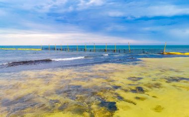 Playa del Carmen Meksika 'da turkuvaz mavisi berrak sulara sahip tropik Meksika Karayip sahili manzarası..