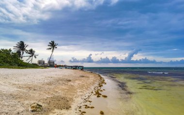 Playa del Carmen Meksika 'da turkuvaz mavisi berrak sulara sahip tropik Meksika Karayip sahili manzarası..
