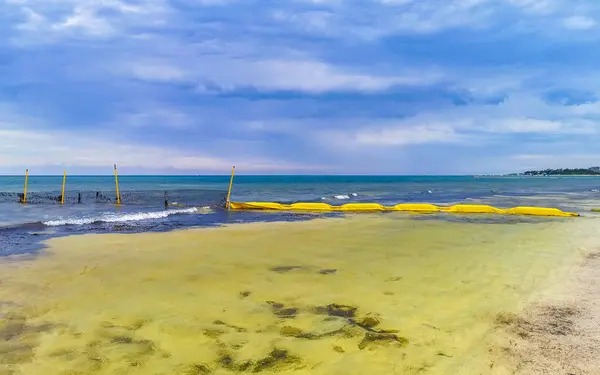 Beautiful blue and turquoise water waves ocean and yellow red orange Buoy buoys ropes and nets in the water of Playa del Carmen in Quintana Roo Mexico.