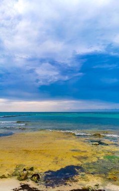 Playa del Carmen Quintana Roo Meksika sahilindeki turkuaz yeşil ve mavi sularda kayalar ve mercanlar..