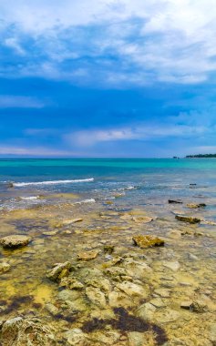 Playa del Carmen Quintana Roo Meksika sahilindeki turkuaz yeşil ve mavi sularda kayalar ve mercanlar..
