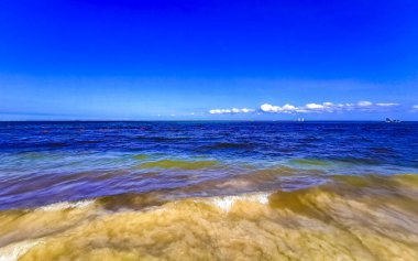 Playa del Carmen Meksika 'da turkuvaz mavisi berrak sulara sahip tropik Meksika Karayip sahili manzarası..