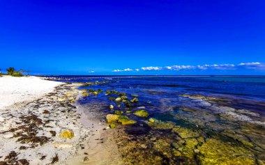 Playa del Carmen Quintana Roo Meksika sahilindeki turkuaz yeşil ve mavi sularda kayalar ve mercanlar..