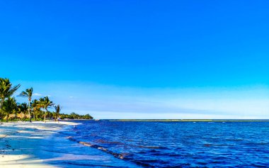 Playa del Carmen Meksika 'da turkuvaz mavisi berrak sulara sahip tropik Meksika Karayip sahili manzarası..