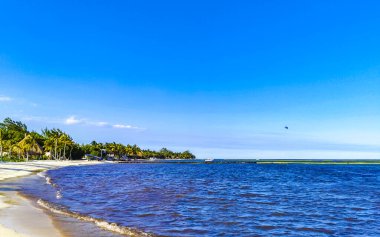 Playa del Carmen Meksika 'da turkuvaz mavisi berrak sulara sahip tropik Meksika Karayip sahili manzarası..