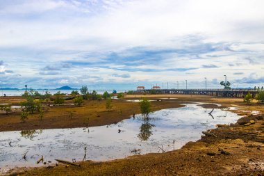 Ao Nang Krabi Tayland 19 numara. Ekim 2018 'de Güneydoğu Asya' daki Ao Nang Amphoe Mueang Krabi Tayland 'daki kireçtaşı kayaları ve turkuaz su arasındaki ünlü sahil gölünde uzun kuyruklu tekneler..