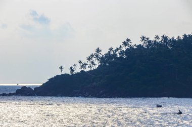 Mirissa Sahili 'nin güneyindeki Sri Lanka Plajı' nda palmiye ağaçları dalgaları ve deniz manzaralı güzel tropik bir sahil..