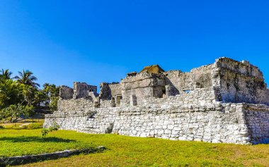 Antik Tulum, Tulum Meksika 'daki tropikal doğal orman palmiyeleri manzarasında tapınak kalıntıları ve eserlerle Maya bölgesini harap ediyor..