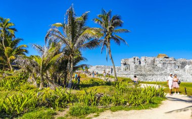 Tulum Quintana Roo Meksika 04. Haziran 2023 Antik Tulum, Tulum Meksika 'daki tropikal doğal orman palmiyeleri manzarasında tapınak kalıntıları ve sanat eserleriyle Maya bölgesini harap etti..