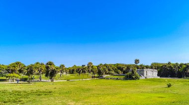 Antik Tulum, Tulum Meksika 'daki tropikal doğal orman palmiyeleri manzarasında tapınak kalıntıları ve eserlerle Maya bölgesini harap ediyor..