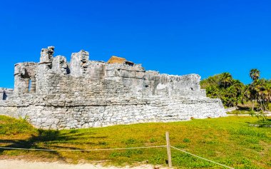 Antik Tulum, Tulum Meksika 'daki tropikal doğal orman palmiyeleri manzarasında tapınak kalıntıları ve eserlerle Maya bölgesini harap ediyor..
