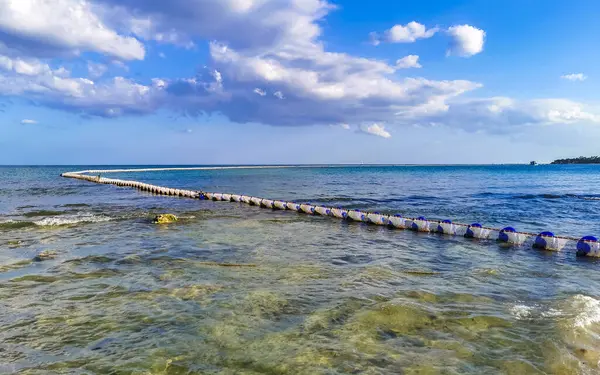 stock image Big disgusting problem at tropical mexican caribbean beach with Sargazo seaweed sea weed net in clear turquoise blue water in Playa del Carmen Mexico.