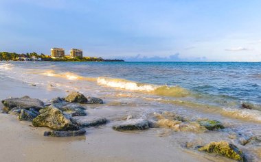 Playa del Carmen Quintana Roo Meksika sahilindeki turkuaz yeşil ve mavi sularda kayalar ve mercanlar..