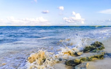 Playa del Carmen Quintana Roo Meksika sahilindeki turkuaz yeşil ve mavi sularda kayalar ve mercanlar..