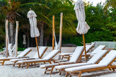 Palapa sazdan çatılar palmiye ağaçları şemsiyeler ve Playa del Carmen Meksika 'daki tropikal Meksika plajındaki sahil otelindeki güneş pansiyonları..