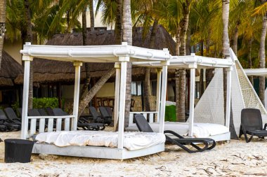 Palapa sazdan çatılar palmiye ağaçları şemsiyeler ve Playa del Carmen Meksika 'daki tropikal Meksika plajındaki sahil otelindeki güneş pansiyonları..