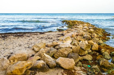 Playa del Carmen Quintana Roo Meksika sahilindeki turkuaz yeşil ve mavi sularda kayalar ve mercanlar..