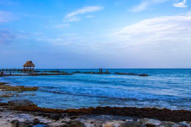 Playa del Carmen Quintana Roo Meksika 14. Ağustos 2023 Pampa ve Playa Xcalacoco Playa del Carmen Mexico 'daki Palapa bungalovu ile berrak turkuaz mavi su ve iskeleli Meksika tropikal karayip sahili manzarası..