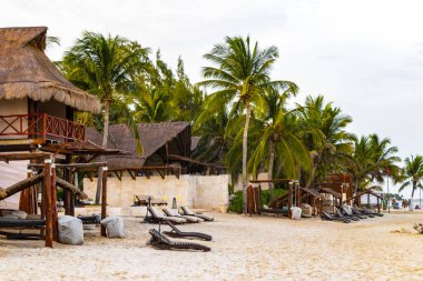 Palapa sazdan çatılar palmiye ağaçları şemsiyeler ve Playa del Carmen Meksika 'daki tropikal Meksika plajındaki sahil otelindeki güneş pansiyonları..