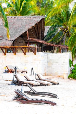 Palapa sazdan çatılar palmiye ağaçları şemsiyeler ve Playa del Carmen Meksika 'daki tropikal Meksika plajındaki sahil otelindeki güneş pansiyonları..