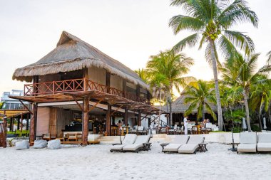 Palapa sazdan çatılar palmiye ağaçları şemsiyeler ve Playa del Carmen Meksika 'daki tropikal Meksika plajındaki sahil otelindeki güneş pansiyonları..