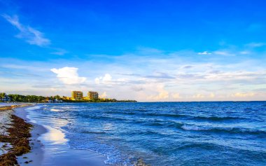 Playa del Carmen Mexico 'da turkuvaz mavisi tatil beldeleri ve palmiye ağaçları olan tropik Meksika Karayip plajı manzarası..