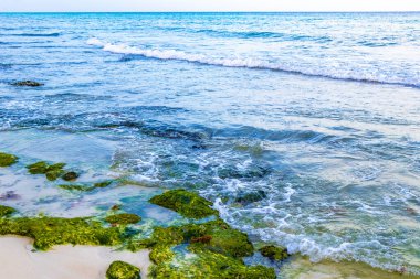 Playa del Carmen Quintana Roo Meksika sahilindeki turkuaz yeşil ve mavi sularda kayalar ve mercanlar..
