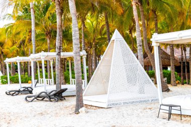 Palapa sazdan çatılar palmiye ağaçları şemsiyeler ve Playa del Carmen Meksika 'daki tropikal Meksika plajındaki sahil otelindeki güneş pansiyonları..