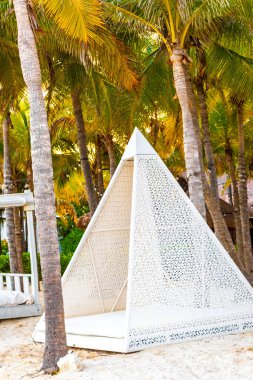 Palapa sazdan çatılar palmiye ağaçları şemsiyeler ve Playa del Carmen Meksika 'daki tropikal Meksika plajındaki sahil otelindeki güneş pansiyonları..