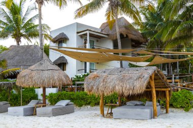 Palapa sazdan çatılar palmiye ağaçları şemsiyeler ve Playa del Carmen Meksika 'daki tropikal Meksika plajındaki sahil otelindeki güneş pansiyonları..