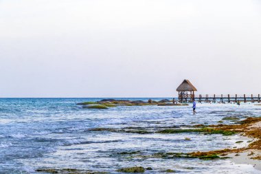 Playa del Carmen Quintana Roo Meksika 14. Ağustos 2023 Pampa ve Playa Xcalacoco Playa del Carmen Mexico 'daki Palapa bungalovu ile berrak turkuaz mavi su ve iskeleli Meksika tropikal karayip sahili manzarası..