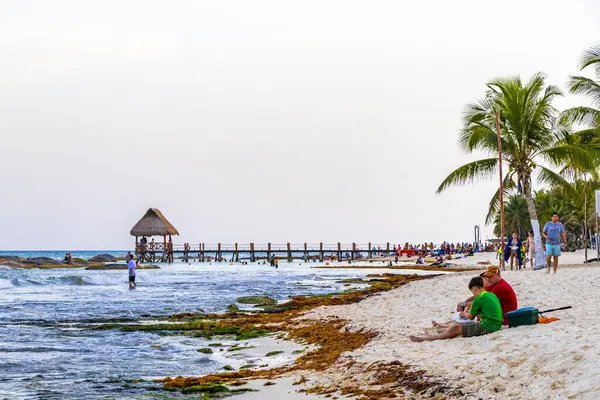 Playa del Carmen Quintana Roo Meksika 14. Ağustos 2023 Pampa ve Playa Xcalacoco Playa del Carmen Mexico 'daki Palapa bungalovu ile berrak turkuaz mavi su ve iskeleli Meksika tropikal karayip sahili manzarası..