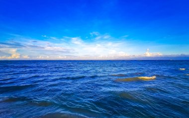 Playa del Carmen Mexico 'da turkuvaz mavisi tatil beldeleri ve palmiye ağaçları olan tropik Meksika Karayip plajı manzarası..