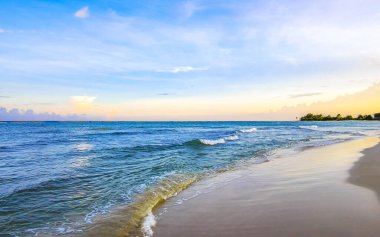 Playa del Carmen Mexico 'da turkuvaz mavisi tatil beldeleri ve palmiye ağaçları olan tropik Meksika Karayip plajı manzarası..