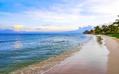 Playa del Carmen Mexico 'da turkuvaz mavisi tatil beldeleri ve palmiye ağaçları olan tropik Meksika Karayip plajı manzarası..