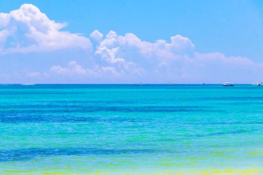 Playa del Carmen Mexico 'da turkuvaz mavisi tatil beldeleri ve palmiye ağaçları olan tropik Meksika Karayip plajı manzarası..